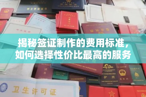 蕉岭揭秘签证制作的费用标准，如何选择性价比最高的服务？