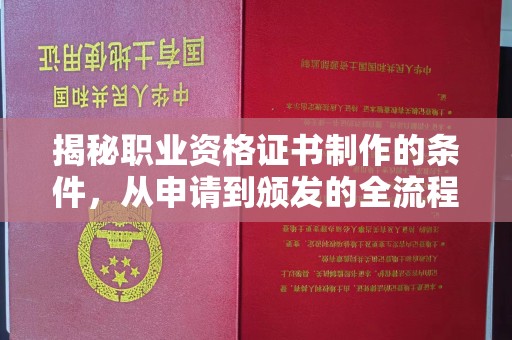 蕉岭揭秘职业资格证书制作的条件，从申请到颁发的全流程解析