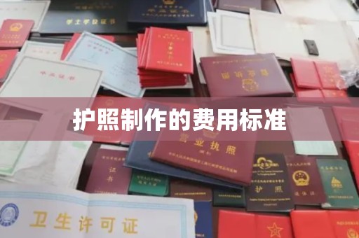 蕉岭护照制作的费用标准