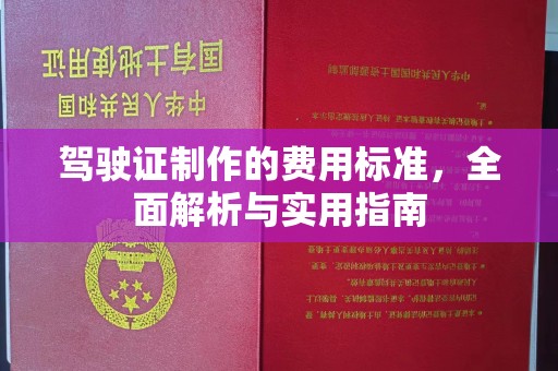 蕉岭驾驶证制作的费用标准，全面解析与实用指南
