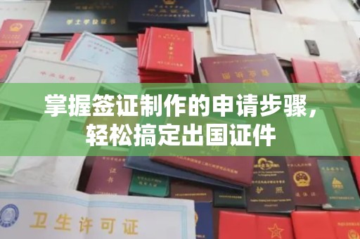蕉岭掌握签证制作的申请步骤，轻松搞定出国证件