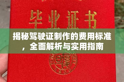 蕉岭揭秘驾驶证制作的费用标准，全面解析与实用指南