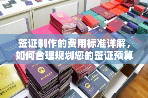 蕉岭签证制作的费用标准详解，如何合理规划您的签证预算