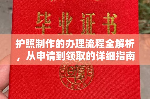 蕉岭护照制作的办理流程全解析，从申请到领取的详细指南